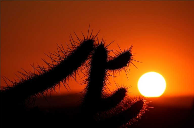 El Niño deve durar ao menos até abril de 2024 aponta Organização